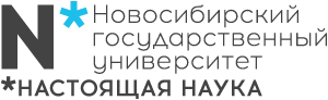 Новосибирский государственный университет Logo